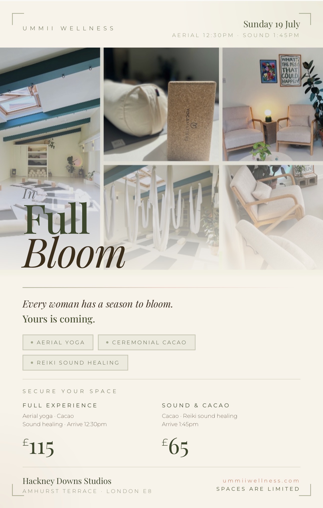 In Full Bloom - Full Experience